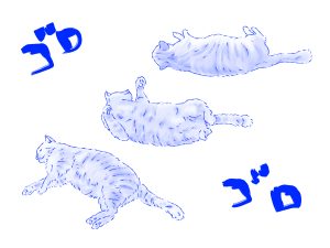 スムーズに寝返りをうつ人の横姿