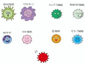 免疫細胞の活動を示すイラスト。笑顔や前向きな感情が免疫力を向上させる重要性を解説するビジュアル。