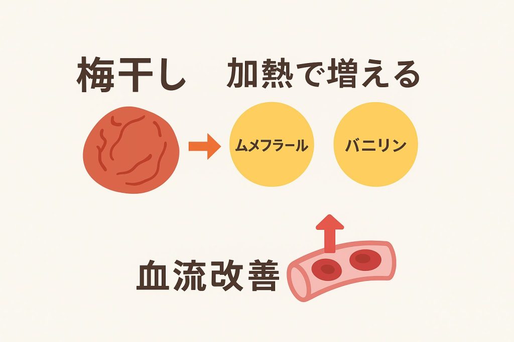 梅干しを加熱すると増えるムメフラールとバニリンが血流改善をサポートする仕組みを示すイラスト。